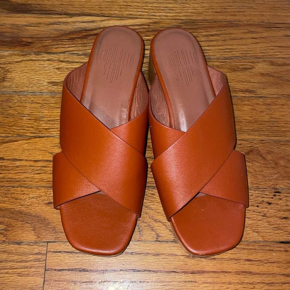 Orange-Brown Charlotte Stone Amos Clog Sandals
